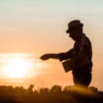 Crédito rural. Agricultor semeando na terra durante o pôr do sol.