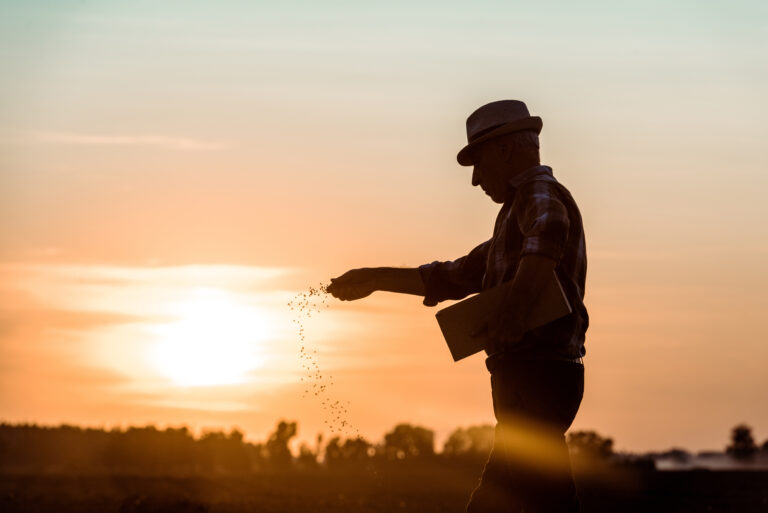 Crédito rural. Agricultor semeando na terra durante o pôr do sol.