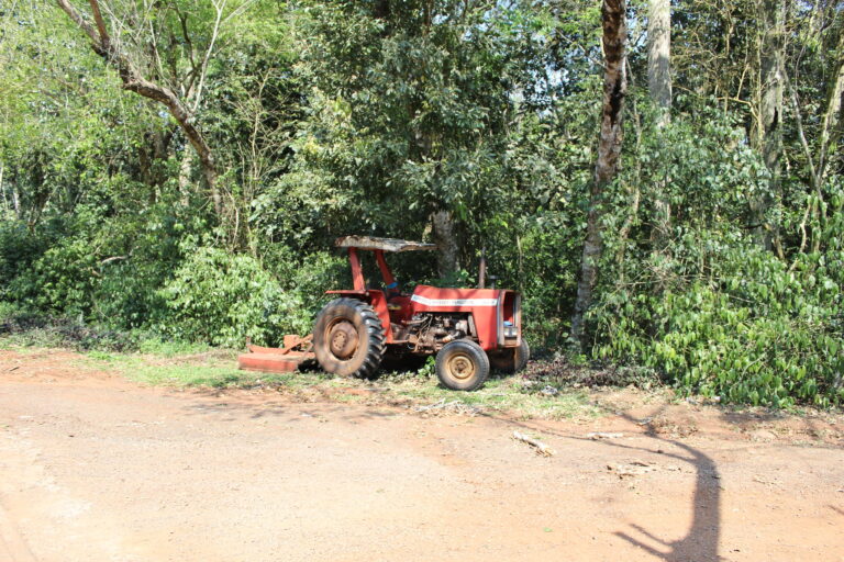 Foto: João Gabriel Palhares