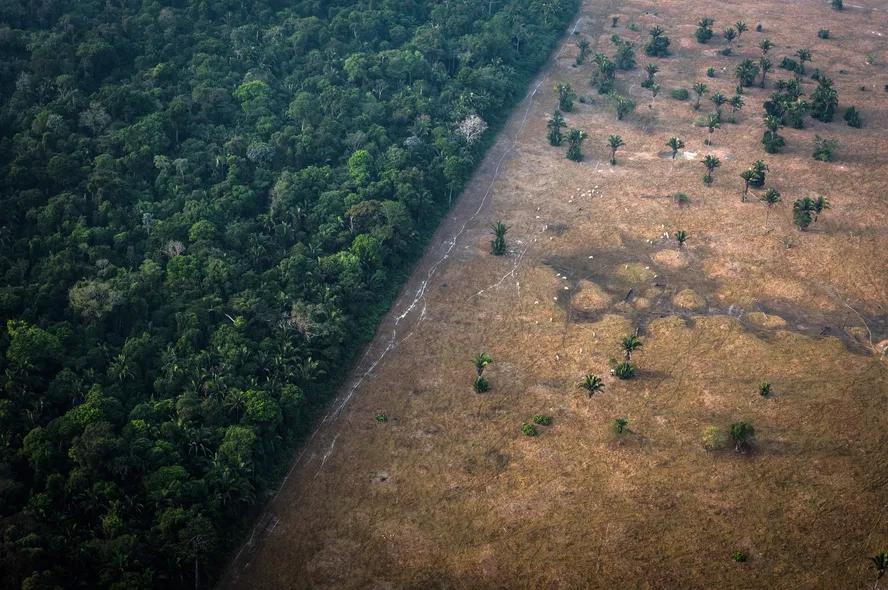 Foto: Bloomberg Creative/GettyImages